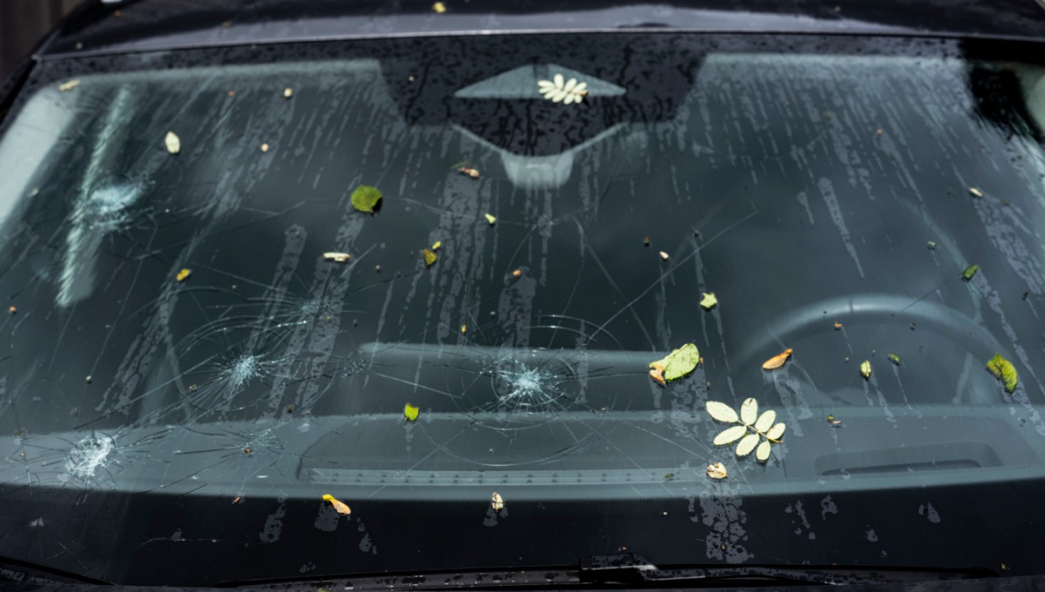 Swiss Re Puts Insured Cost of Late-August Hailstorm at CHF1.7 Billion