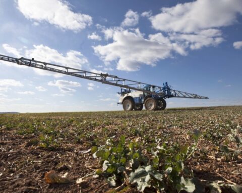 syngenta paraquat plaintiffs reject settlement